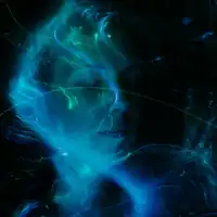 Industry-Veteran Team